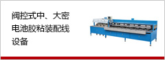 阀控式中、大密乐虎平台(中国)有限公司官网胶粘装配线设备
